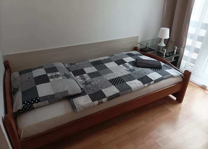 皮拉米达酒店 *