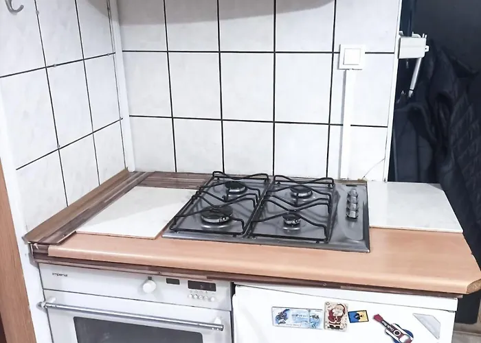 皮拉米达酒店 *